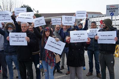 2016 03 17 FolgaServicarneFrigolouro03.JPG